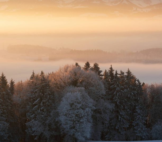 google news – 2 – february